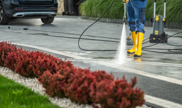 Best Residential Pressure Washing Services  in Romancoke, MD