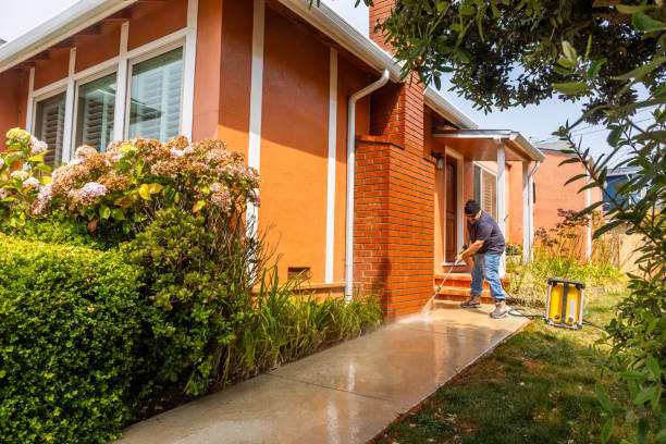Best Exterior Home Cleaning  in Romancoke, MD