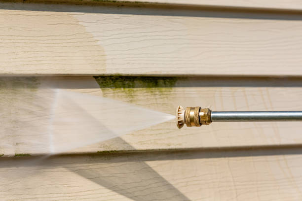 Best Pressure Washing Siding  in Romancoke, MD